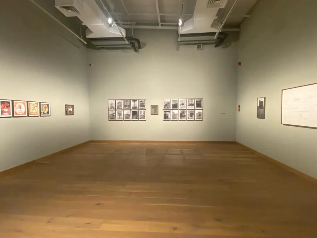 بنیاد هنر ایشارا Ishara Art Foundation | گائوری گیل Gauri Gill