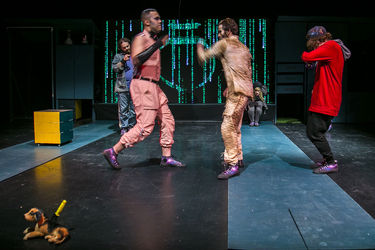 نمایش "ماجرای عجیب سگی در شب" در عمارت نوفل‌لوشاتو