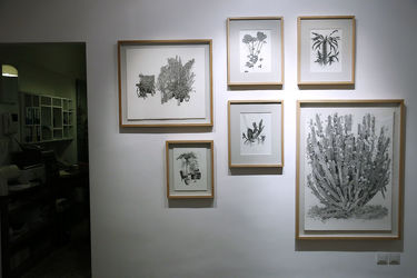 نمایشگاه گروهی "بایگانی اکنون" در گالری هما