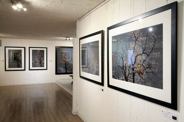 نمایشگاه عکس آرمان مولوی در گالری سیحون 2