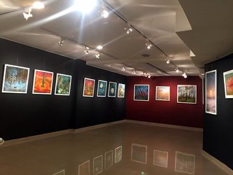 نمایشگاه سالهای نکوور، نقاشی های حجت شکیبا و مینا شکیبا در گالری شکوه