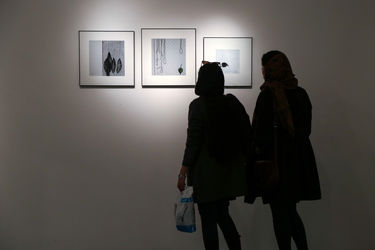 نمایشگاه آثار مینا نوری در گالری طراحان آزاد