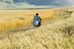 Where Is Friend Kiarostami?: Pompidou Center, MK2 Films to review oeuvre of Kiarostami