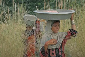 Movies from Iran line up for Providence Children’s Film Festival