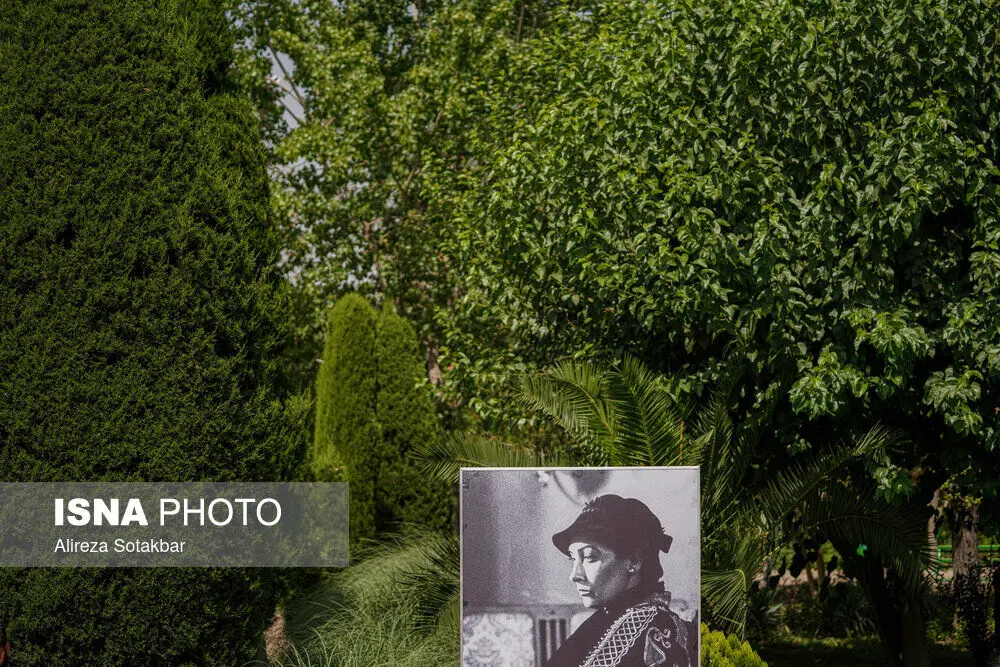 62656420_Alireza-Sotakbar-9