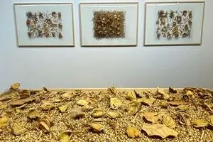 شیخه لطیفه بنت مکتوم از ضرورت همراهی هنر، علم و محیط زیست گفت/ جمال طیاره و رازهای یک گیاه