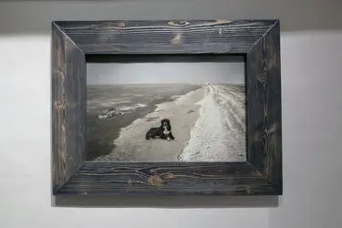 نمایشگاه عکس سکوت در عمارت روبرو