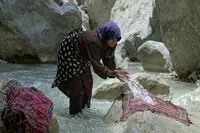 “Parizad” selected as best doc at Festival of Nations