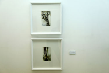 نمایشگاه آثار هنرمندان گالری والی با عنوان"تکرار با نگاهی دیگر"