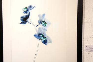 نمایشگاه عکس آرمان مولوی در گالری سیحون 2