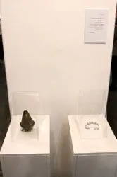 نمایشگاه آثار برگزیدگان جواهرسازی هنری معاصر در گالری آریا