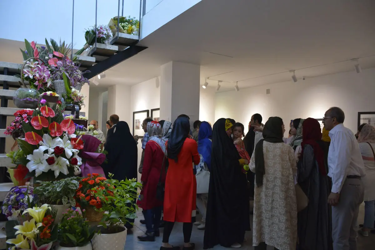 نمایشگاه عکس و چیدمان کجواج‌ها در گالری سایه