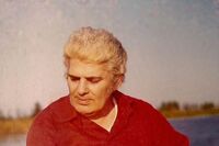 احمد شاملو: زندگی به طرزی بی‌شرمانه‌ کوتاه است/ فیلم
