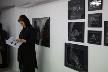 نمایشگاه گروهی با نام " در تله افتاده " در گالری والی