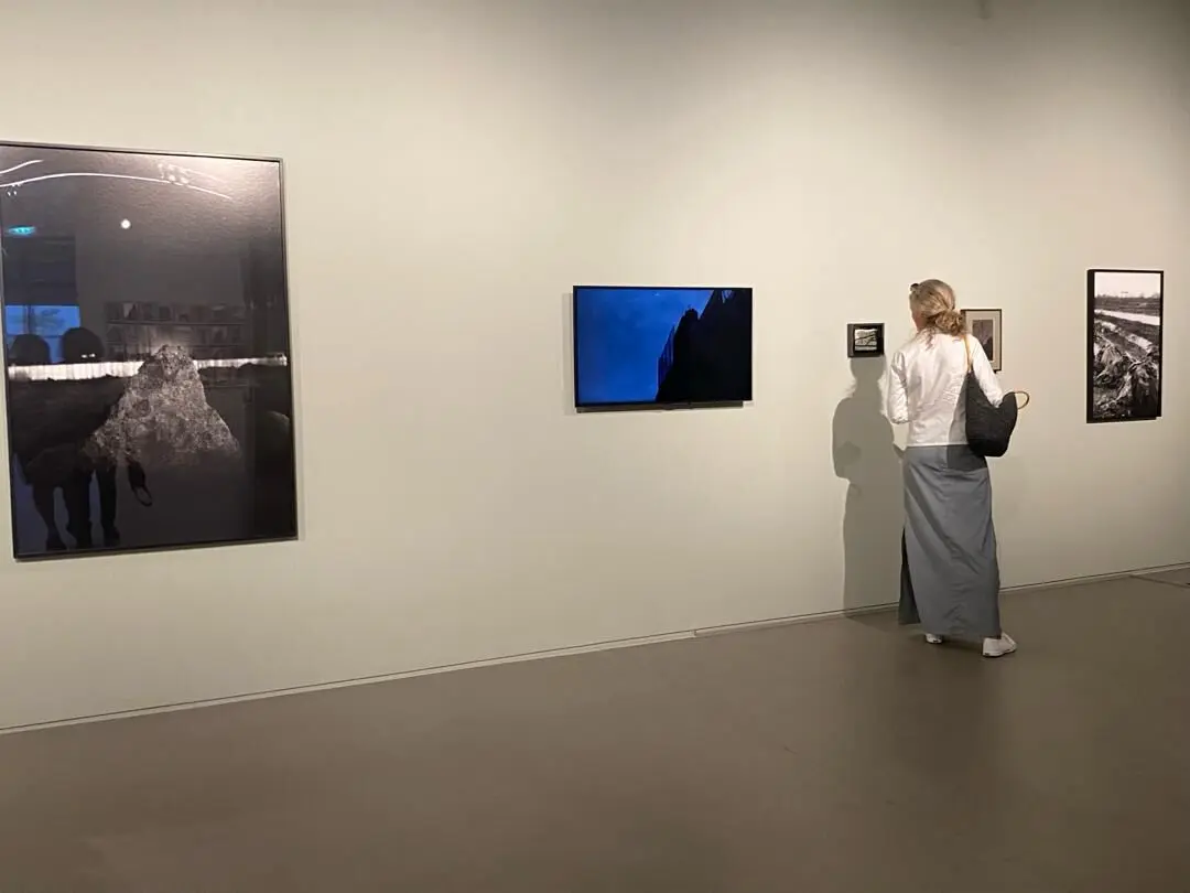 بنیاد هنر ایشارا Ishara Art Foundation | گائوری گیل Gauri Gill