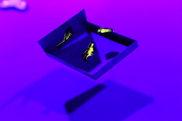 آثار چیدمان دهمین جشنواره تجسمی فجر در موسسه فرهنگی هنری صبا