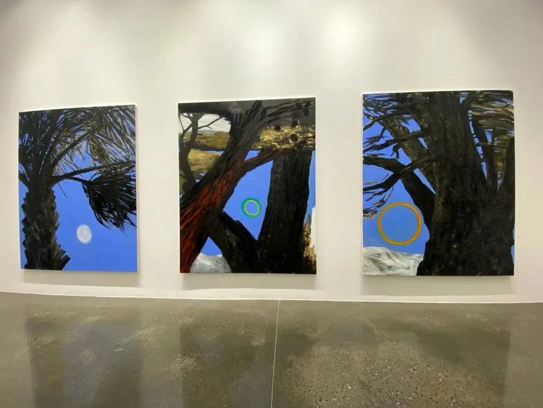 نمایشگاه نبیل نحاس در لاوری شبیبی / Nabil Nahas at Lawrie Shabibi
