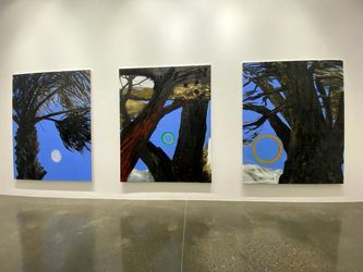 نمایشگاه نبیل نحاس در لاوری شبیبی / Nabil Nahas at Lawrie Shabibi