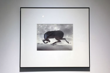 نمایشگاه آثار محمدرضا قربانی در گالری عصر