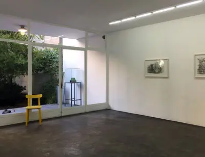 ببینید: افسانه مسائلی درخت‌ها را به تصویر کشید