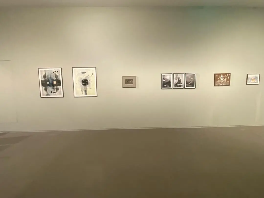 بنیاد هنر ایشارا Ishara Art Foundation | گائوری گیل Gauri Gill