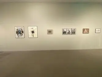 بنیاد هنر ایشارا Ishara Art Foundation | گائوری گیل Gauri Gill