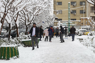 صبح برفی تهران