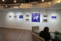 Mehrdad Fallah and His Second Exhibition in the United States / Eight Sales in Austria