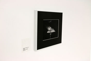 نمایشگاه گروهی "باغ همیشه خزان" در گالری والی