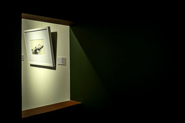 مایشگاه طراحی و نقاشی یحیی رویدل در گالری دیلمان