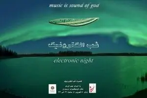 Electronic Night