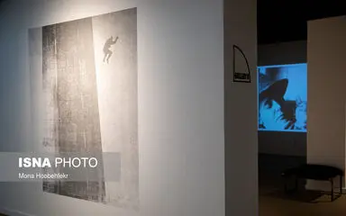 61952436_M_H17560