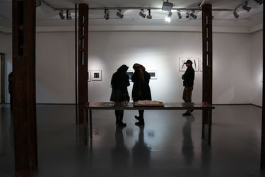 نمایشگاه آثار مینا نوری در گالری طراحان آزاد