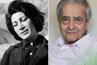 ماجرای پاسپورت دادن فروغ فرخزاد به احمدرضا احمدی چیست؟
