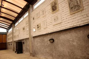 نمایشگاه نقاشی «طراح ستاره دار» در باریکه