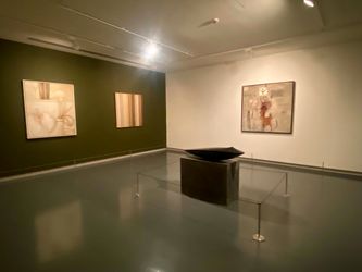 بنیاد هنری برجیل Barjeel در موزه هنر شارجه Sharjah Art Museum
