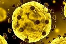 کرونا سوژه سینمای ایران شد