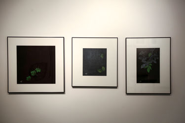 نمایشگاه آثار مینا نوری در گالری طراحان آزاد