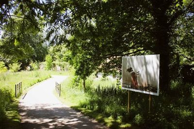 Works of Iranian photographer exhibit on view in Daoulas Abbey Gardens