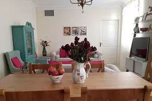 شگفتیِ کار بهناز در خانه‌اش/عکس‌ها