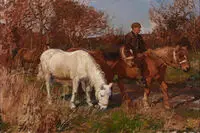 هنر اروپای قرن نوزدهم در نیویورک/ عکس