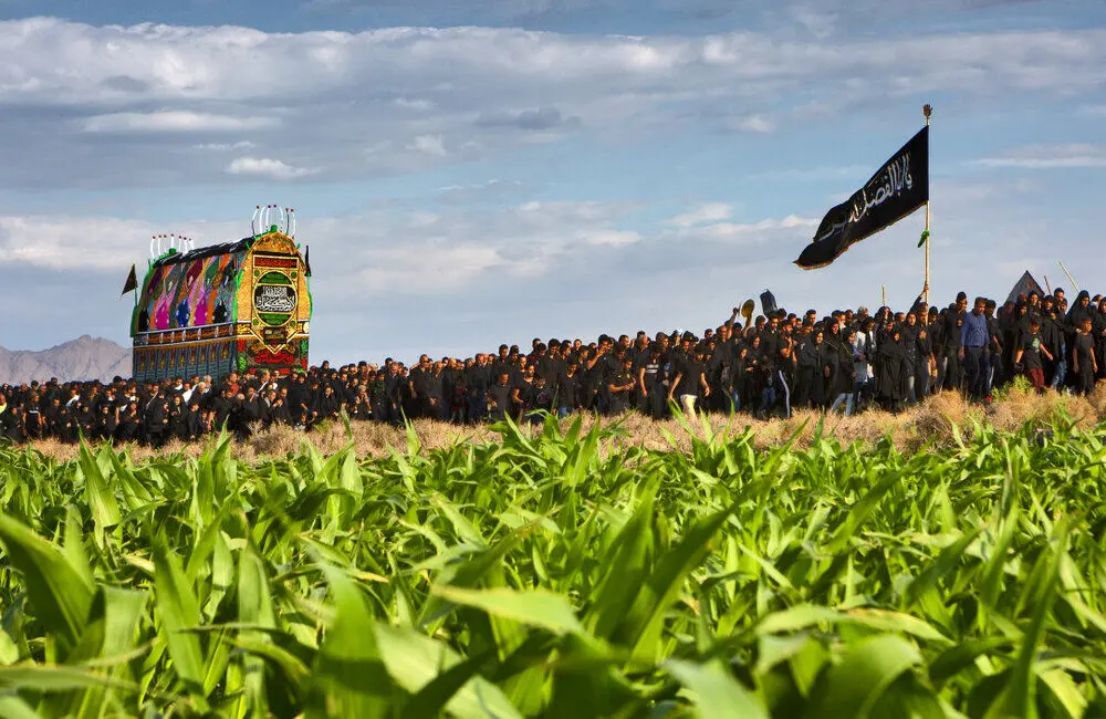 Red Frame International Photo Contest announces winners  