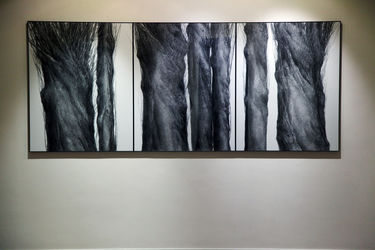 نمایشگاه نقاشی‌های نفیسه صدیقی با عنوان "دریافت" در گالری اثر