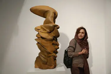 نمایشگاه تونی کرگ با عنوان "ریشه ها و سنگ ها" در موزه هنرهای معاصر