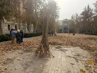 پنجمین دوره رویداد هنری «پاییز_برگ» در میدان مشق