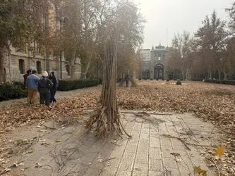 پنجمین دوره رویداد هنری «پاییز_برگ» در میدان مشق