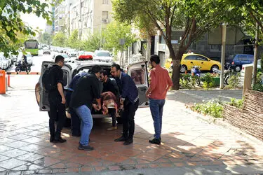 تشییع پیکر رضا امیر یاراحمدی در خانه هنرمندان