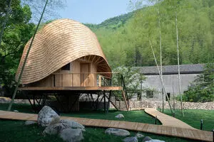 ببینید: طراحی زیبای خانه درختی در شرق چین