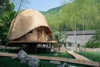 ببینید: طراحی زیبای خانه درختی در شرق چین