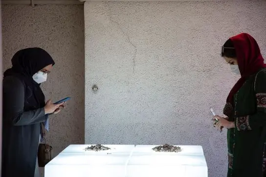 گالری پارت،رستوران باواریا، علی شاکری